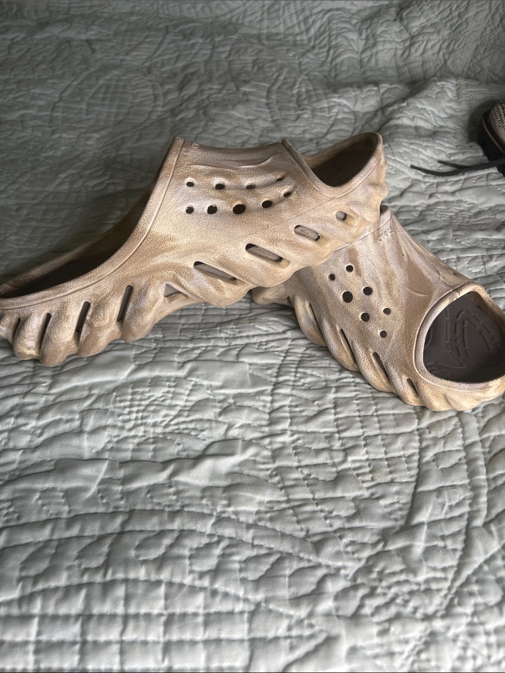Croc echo slides